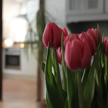 Ferienwohnung Frieso *